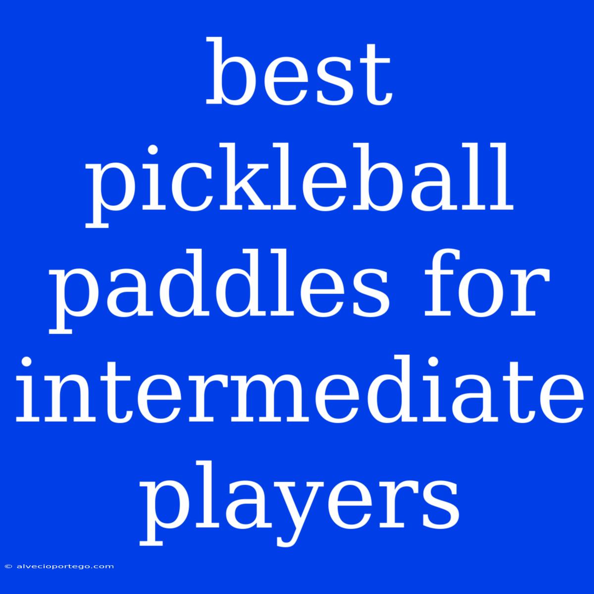 Best Pickleball Paddles For Intermediate Players