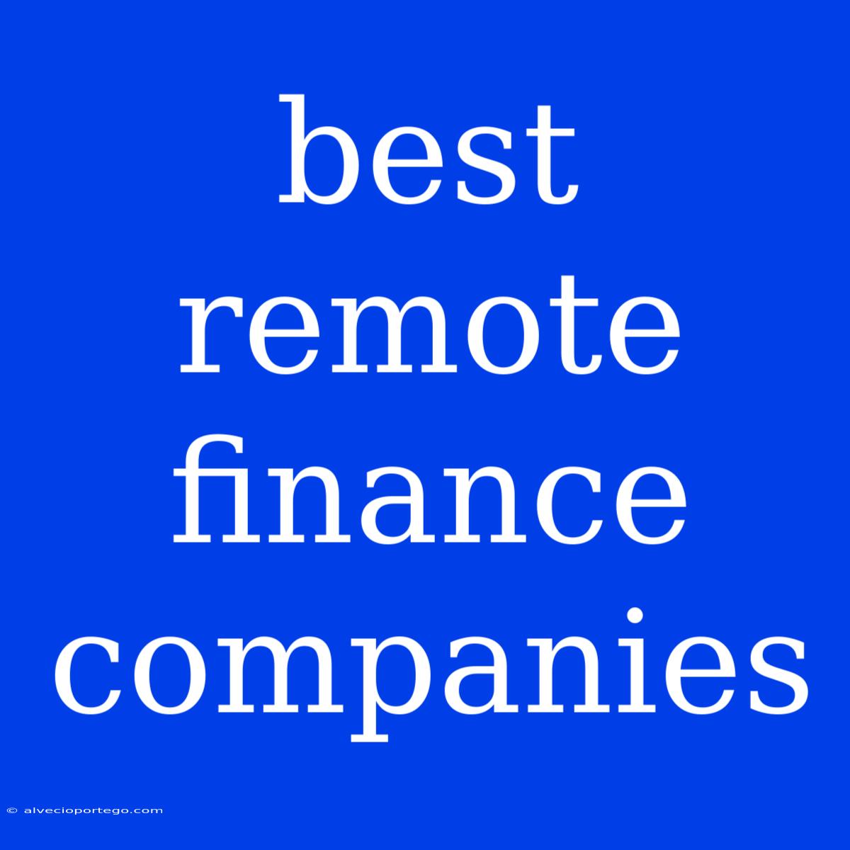 Best Remote Finance Companies