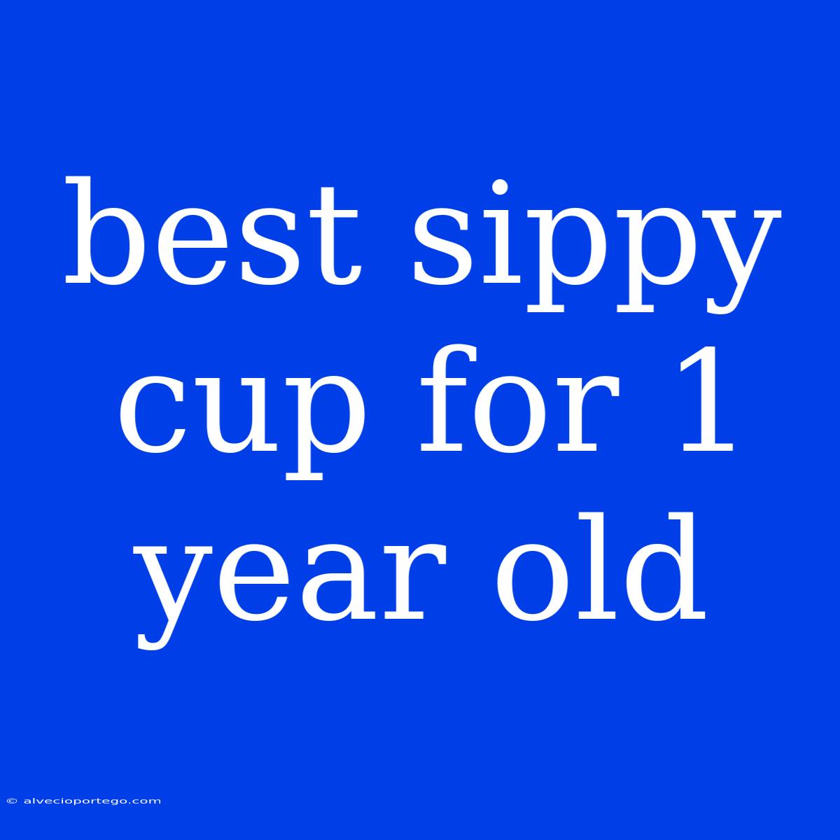 Best Sippy Cup For 1 Year Old