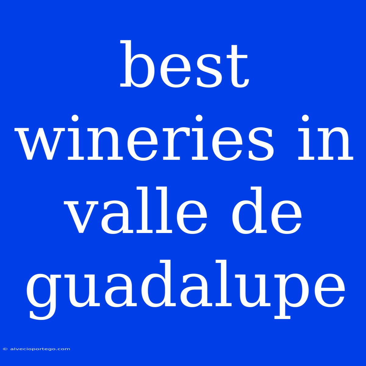 Best Wineries In Valle De Guadalupe