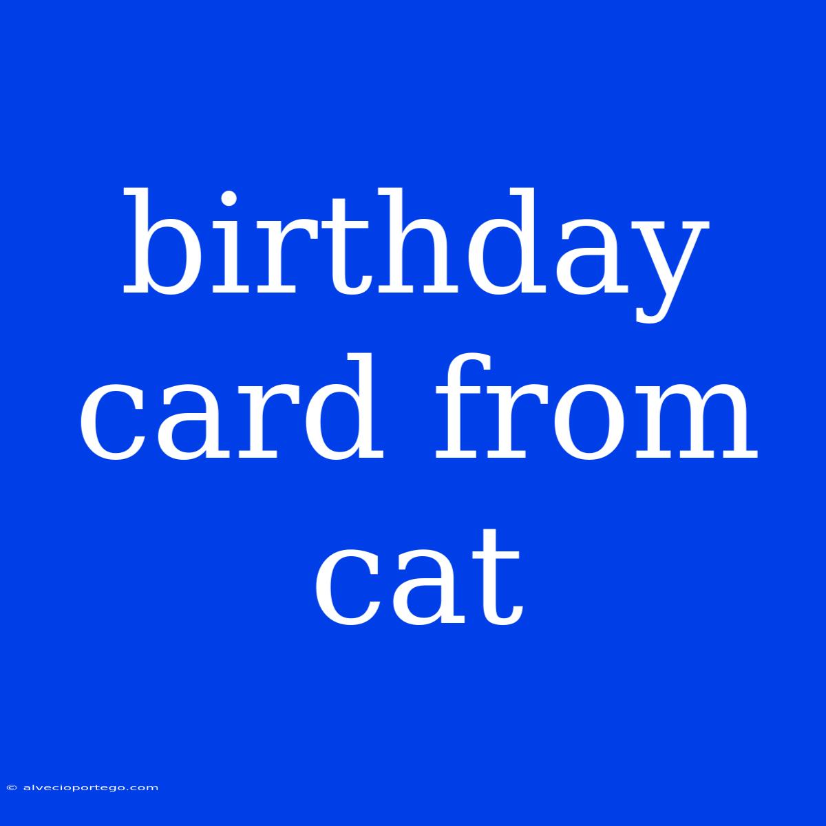 Birthday Card From Cat