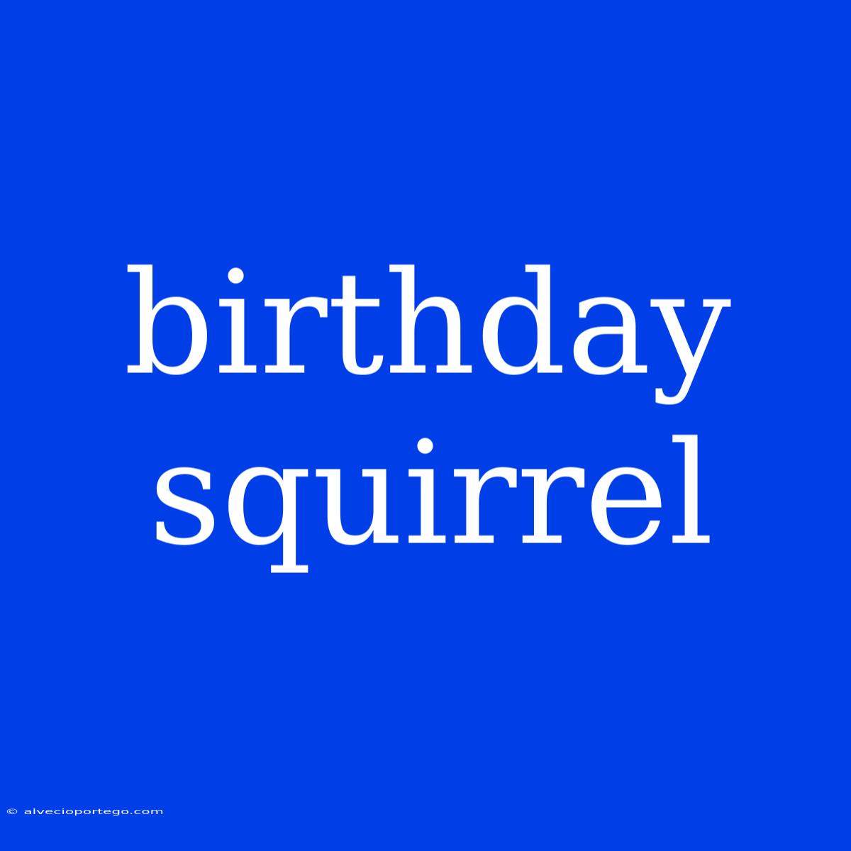 Birthday Squirrel