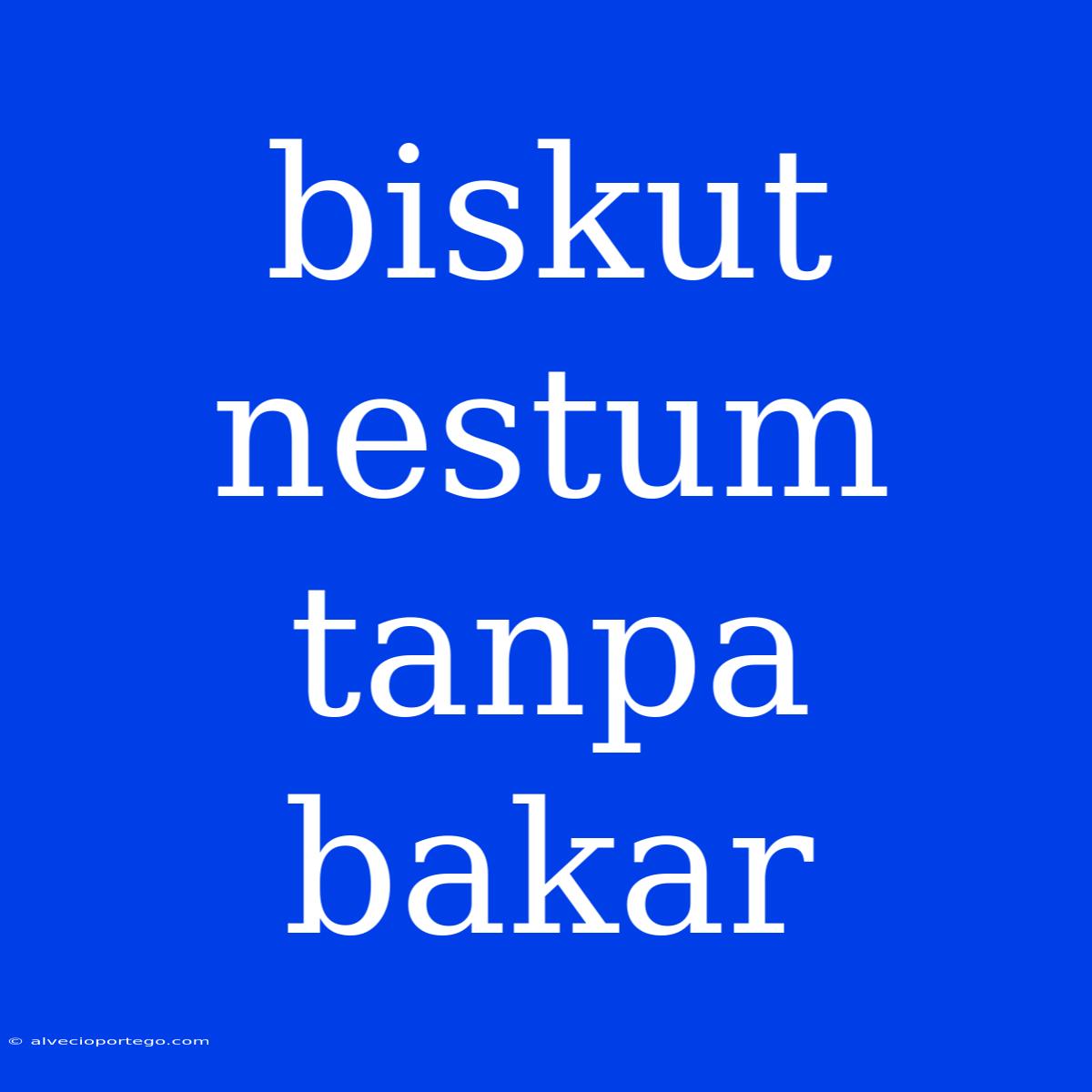 Biskut Nestum Tanpa Bakar