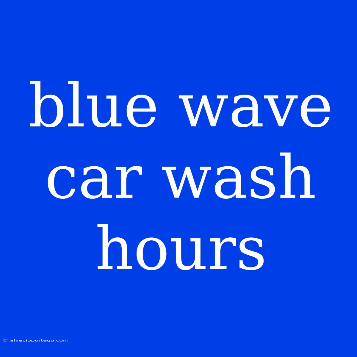 Blue Wave Car Wash Hours