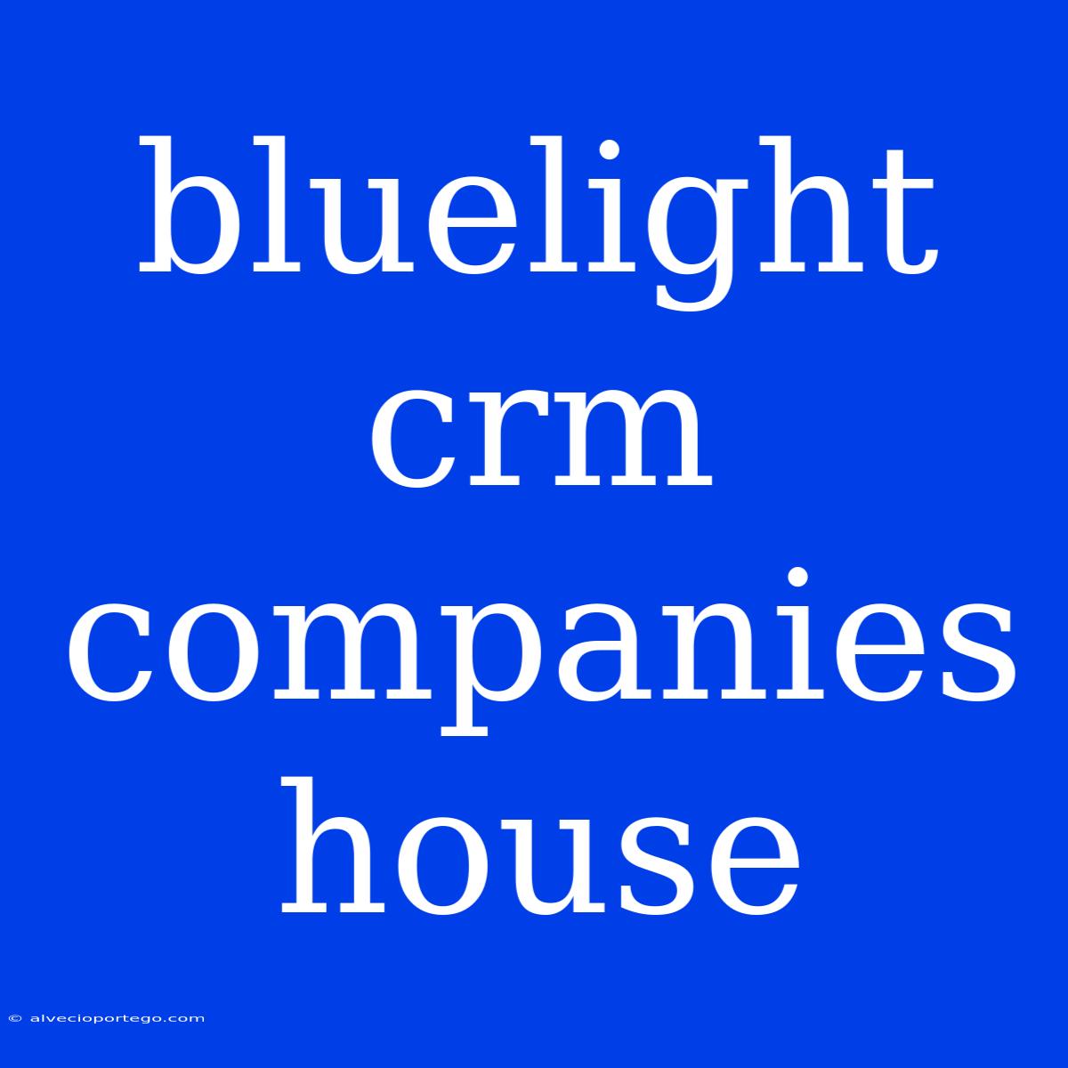 Bluelight Crm Companies House