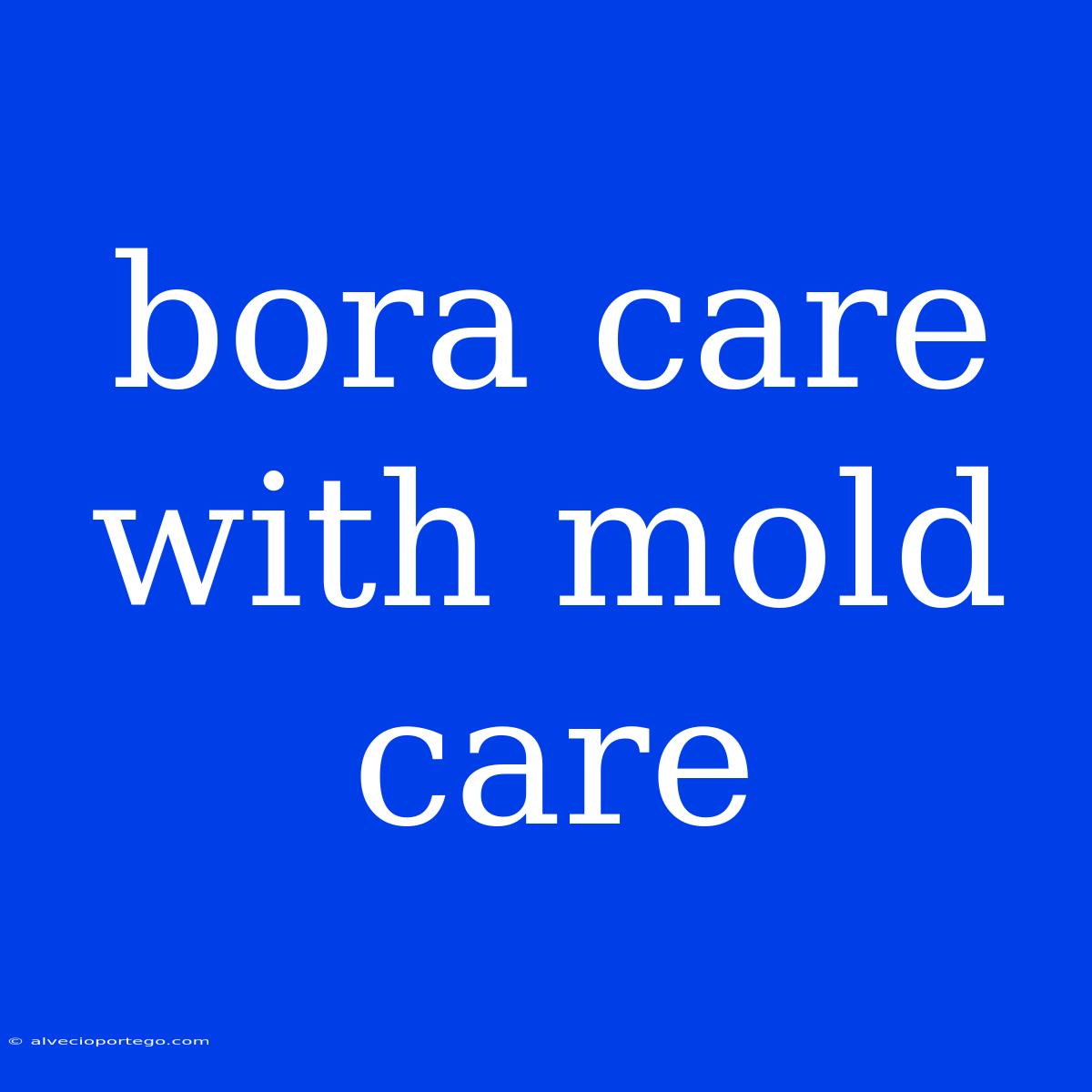 Bora Care With Mold Care