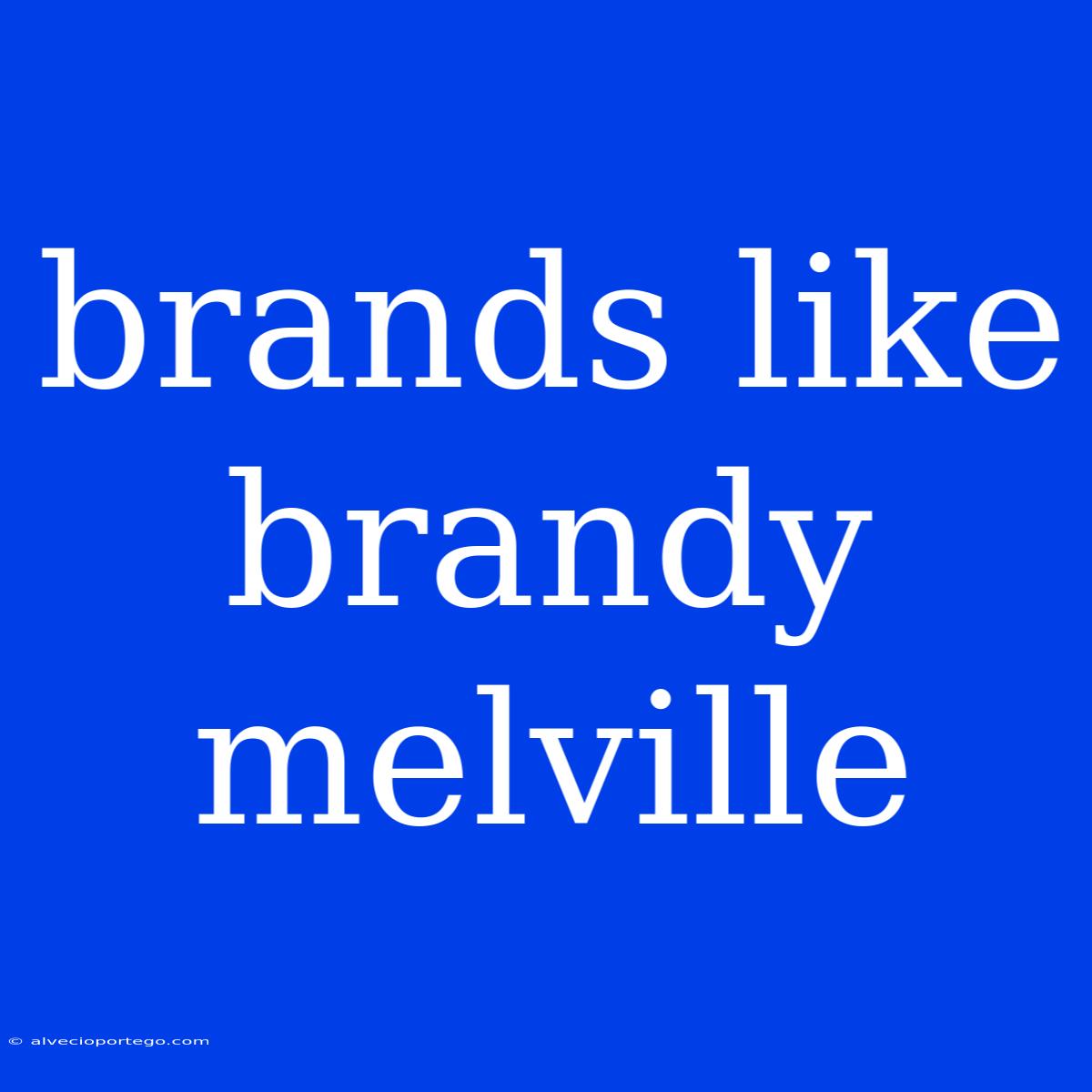 Brands Like Brandy Melville