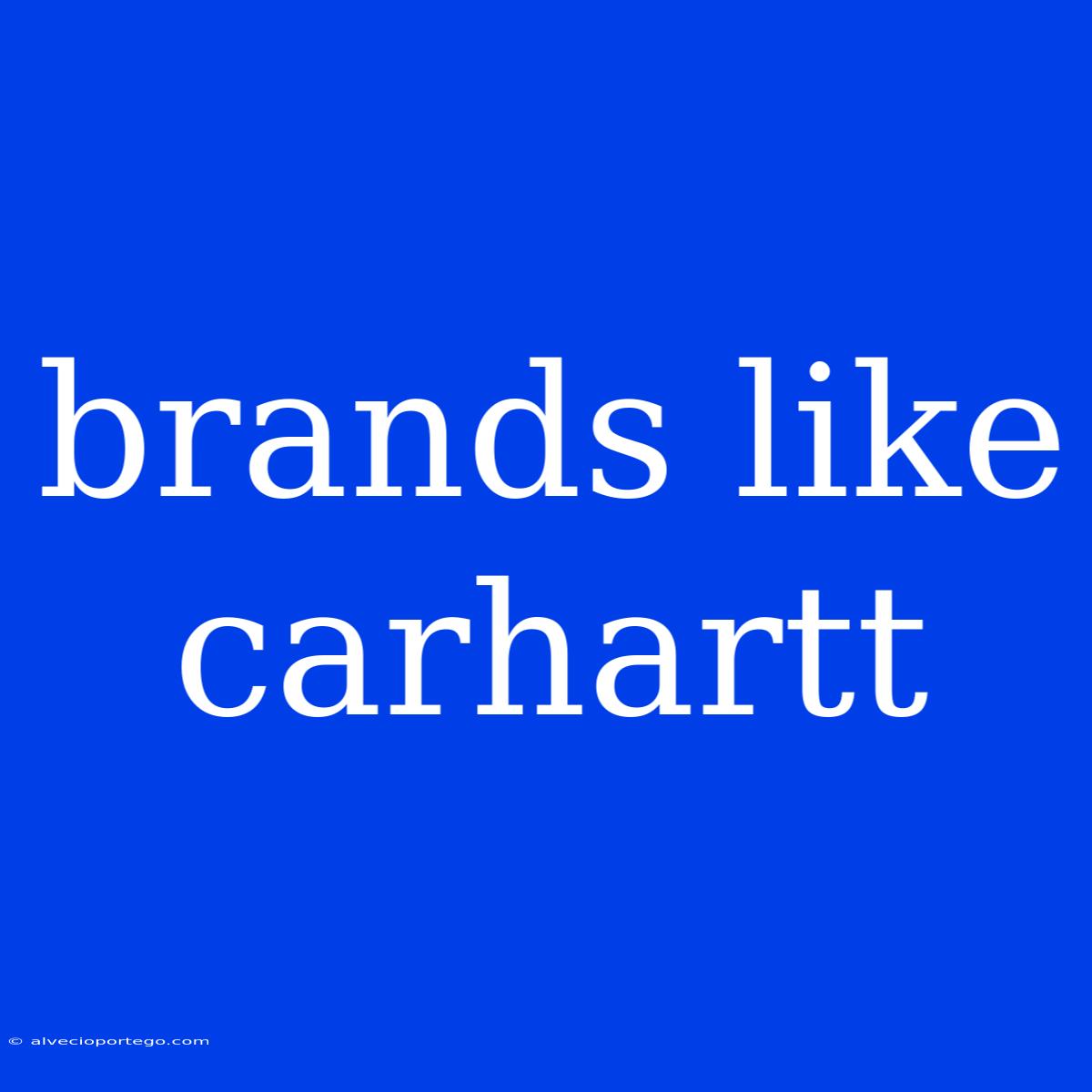 Brands Like Carhartt