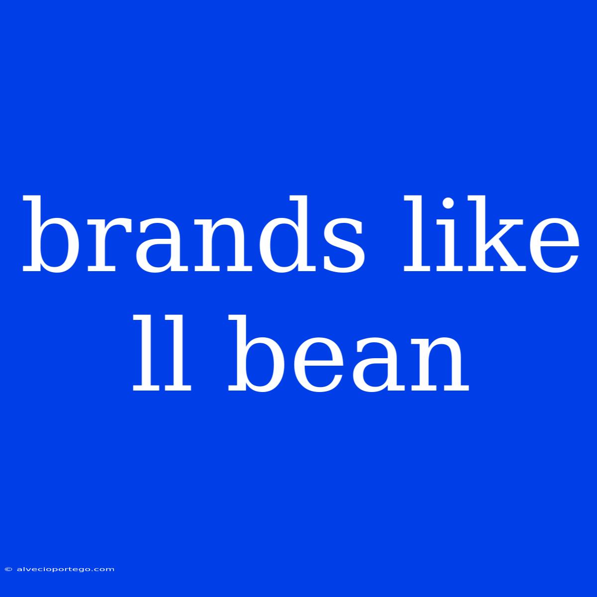 Brands Like Ll Bean