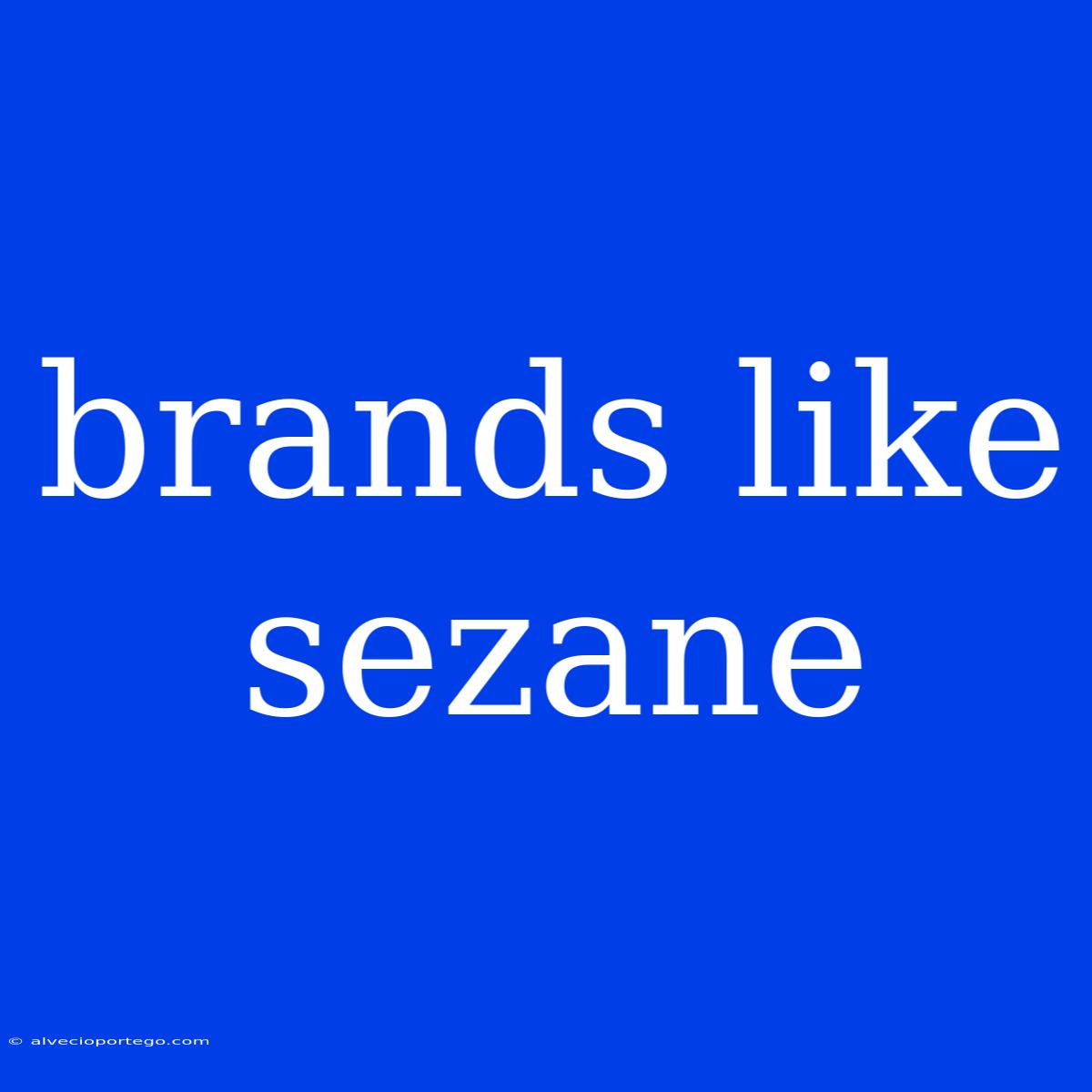 Brands Like Sezane