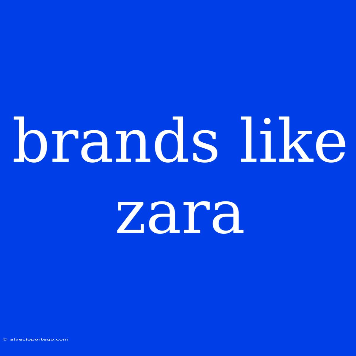 Brands Like Zara