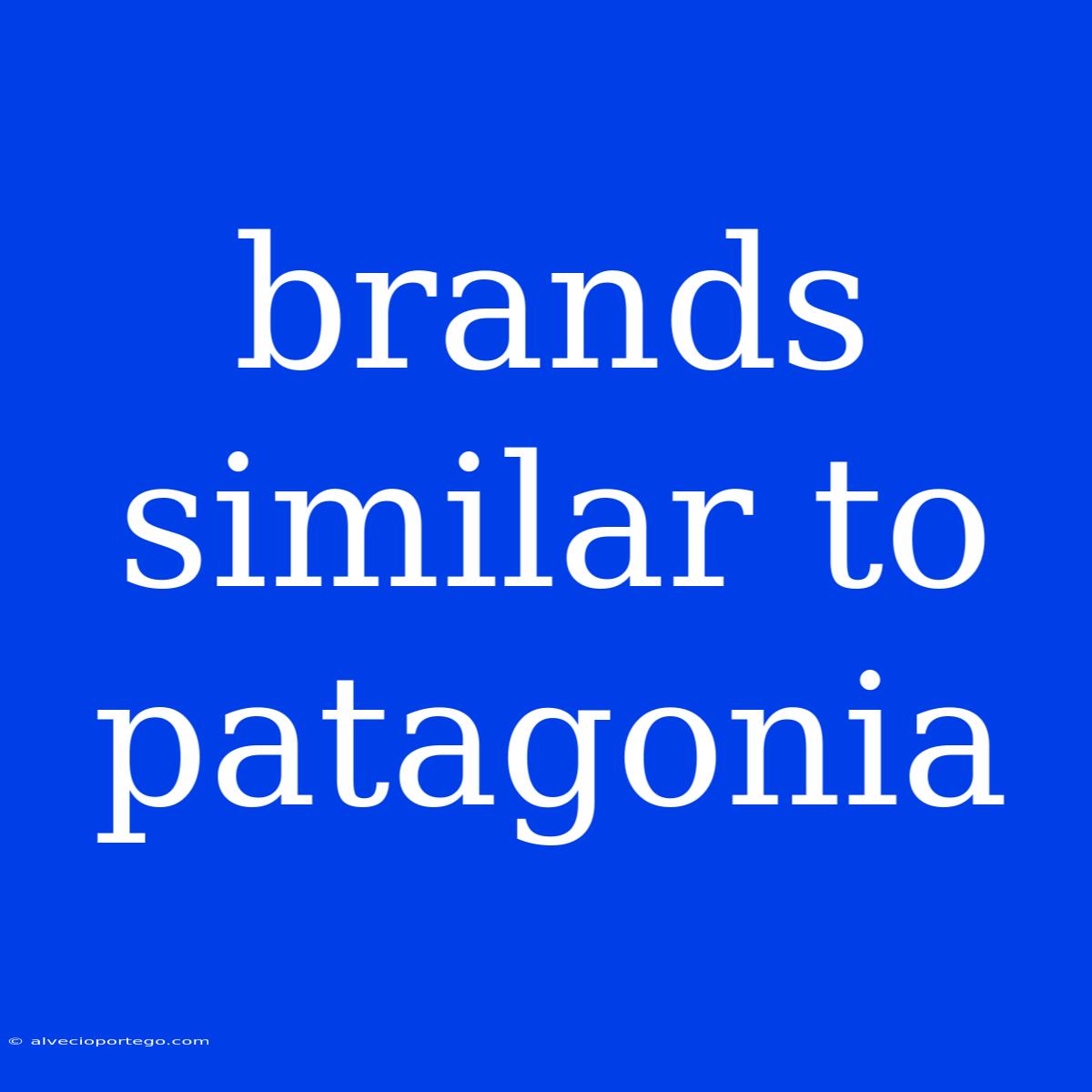 Brands Similar To Patagonia