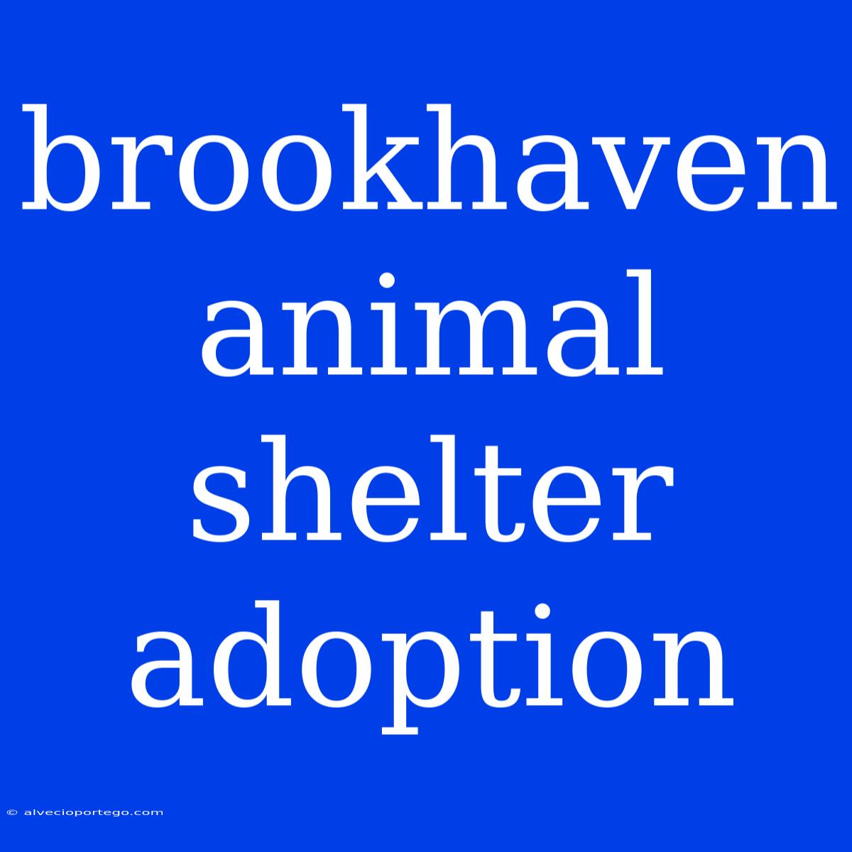 Brookhaven Animal Shelter Adoption