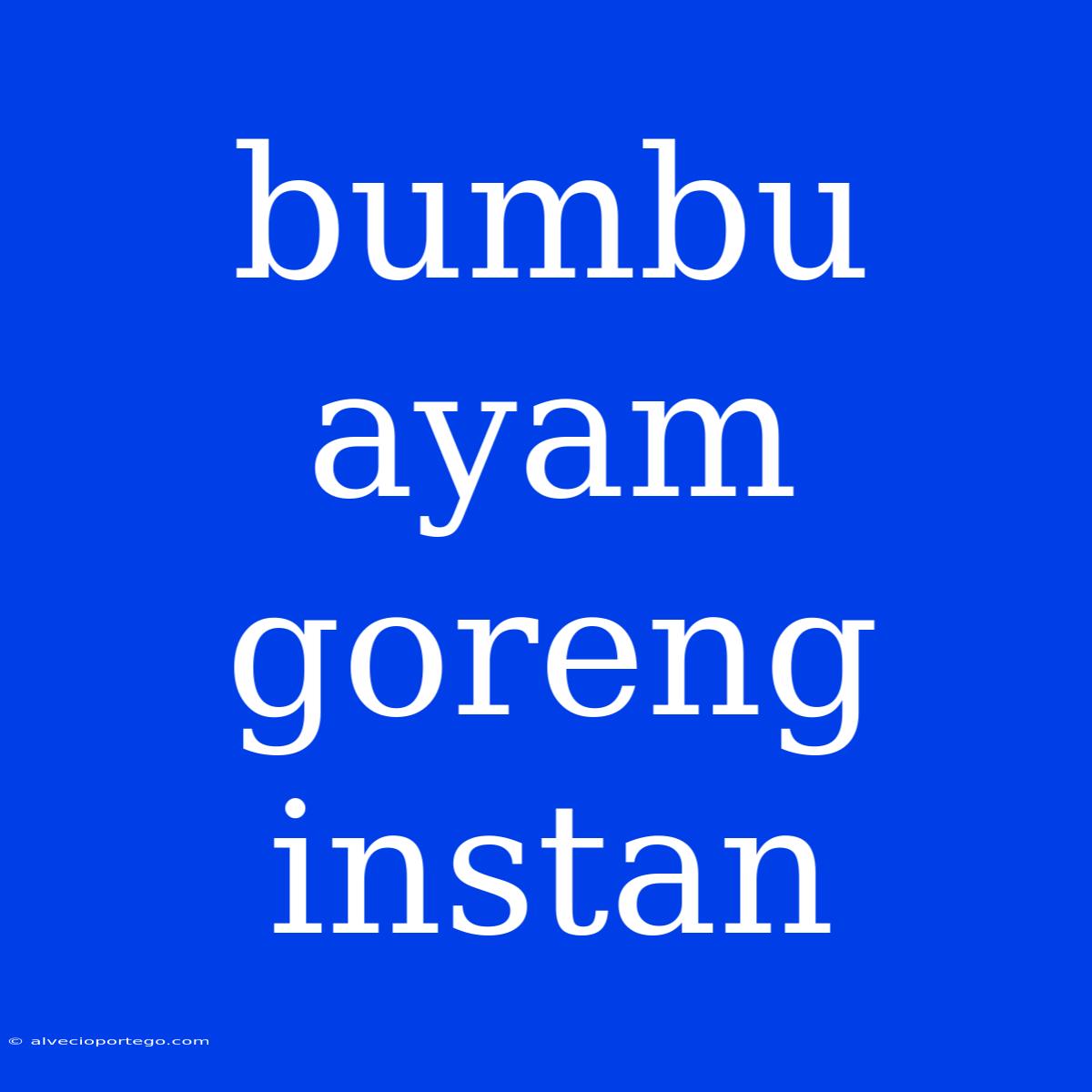 Bumbu Ayam Goreng Instan