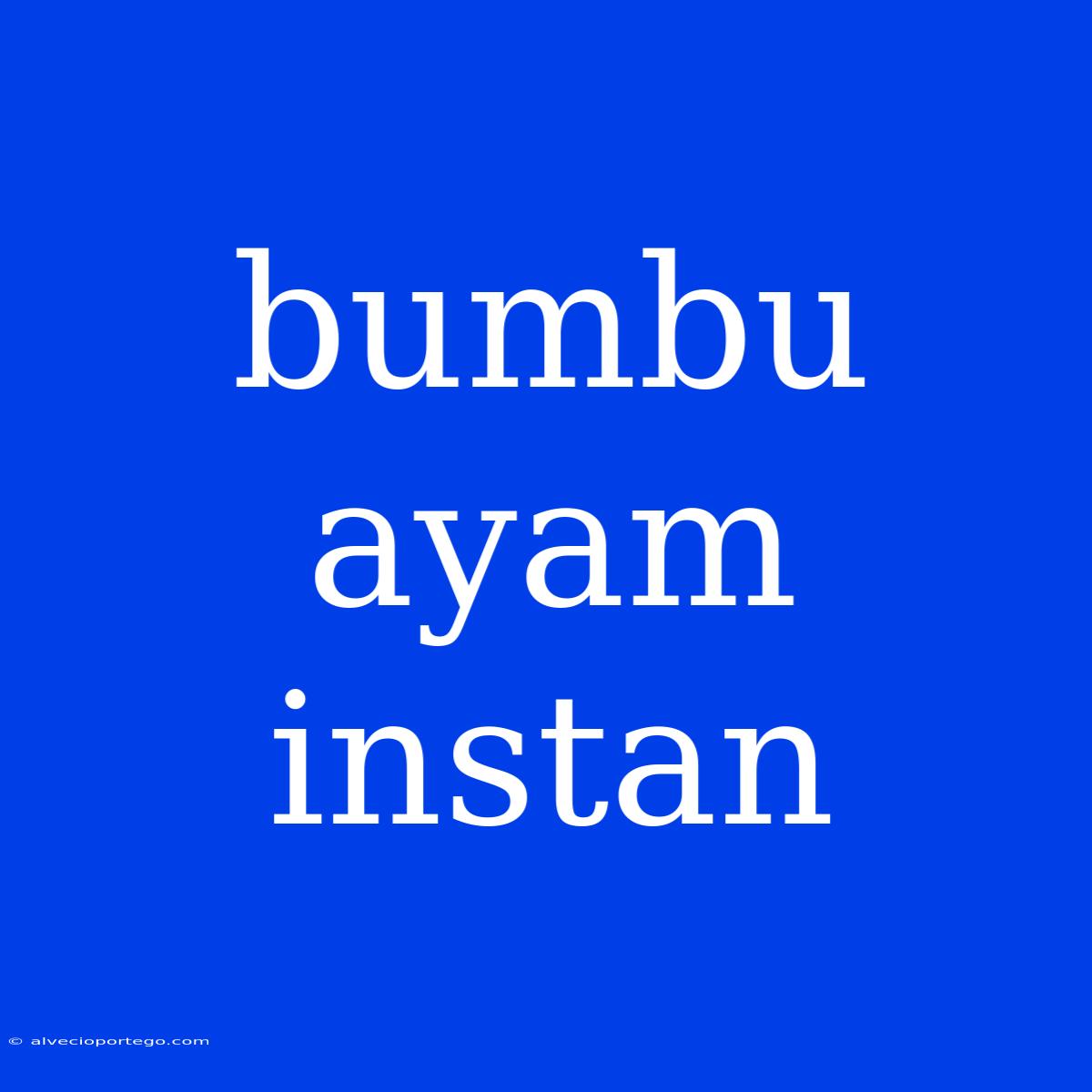 Bumbu Ayam Instan