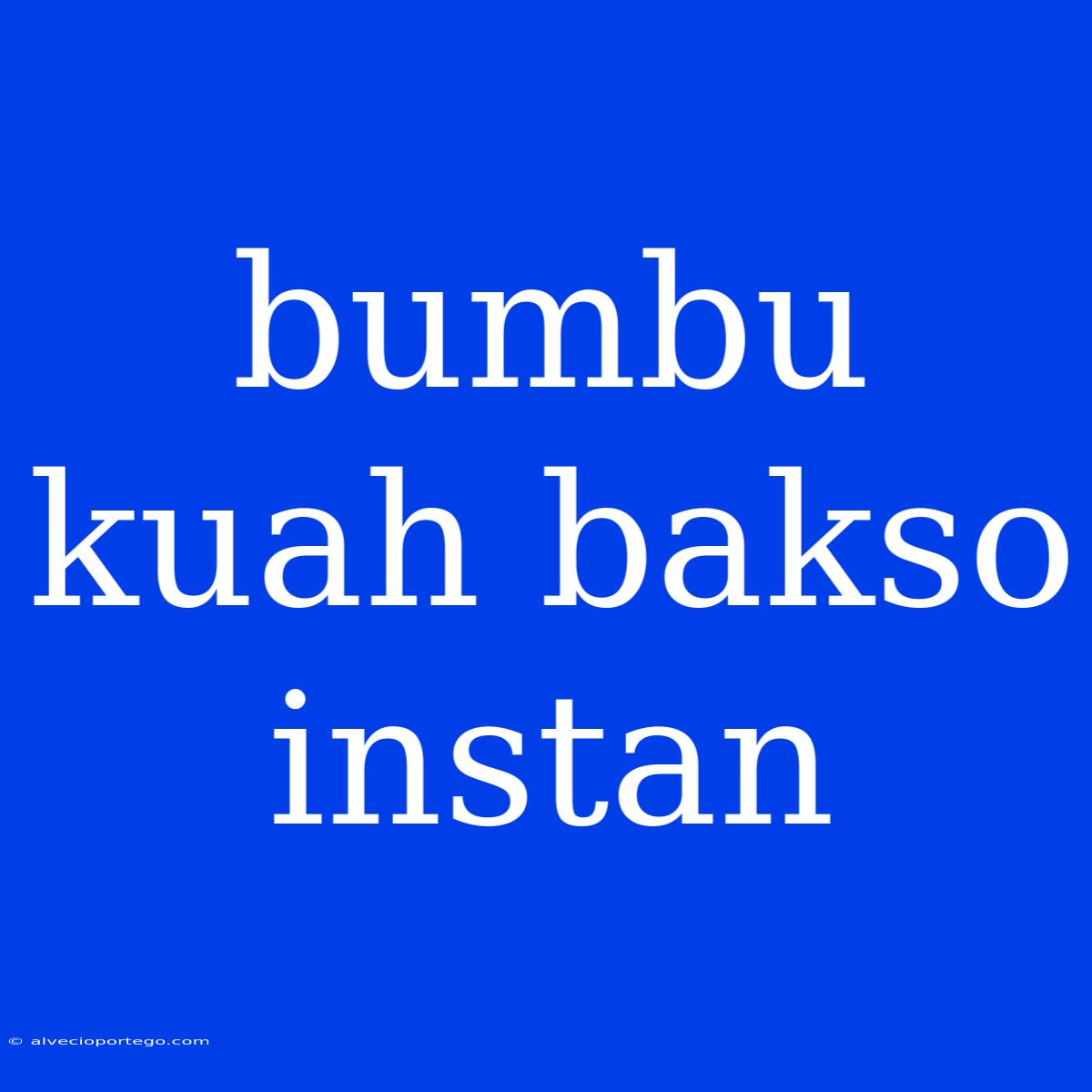 Bumbu Kuah Bakso Instan