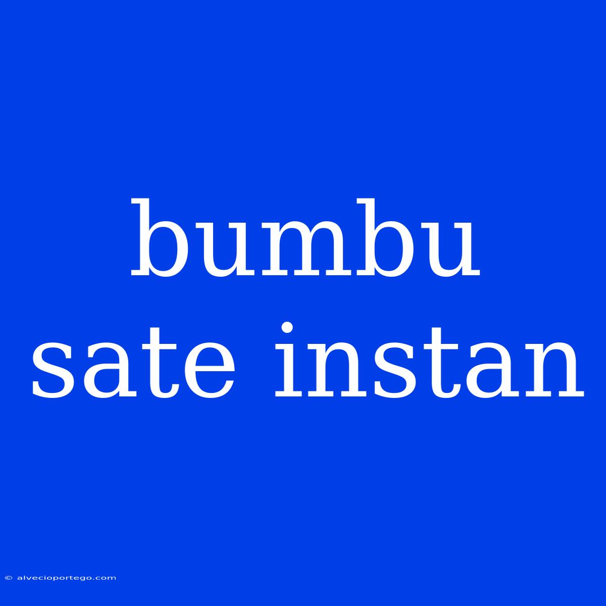 Bumbu Sate Instan