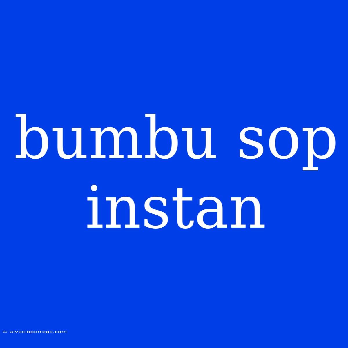 Bumbu Sop Instan