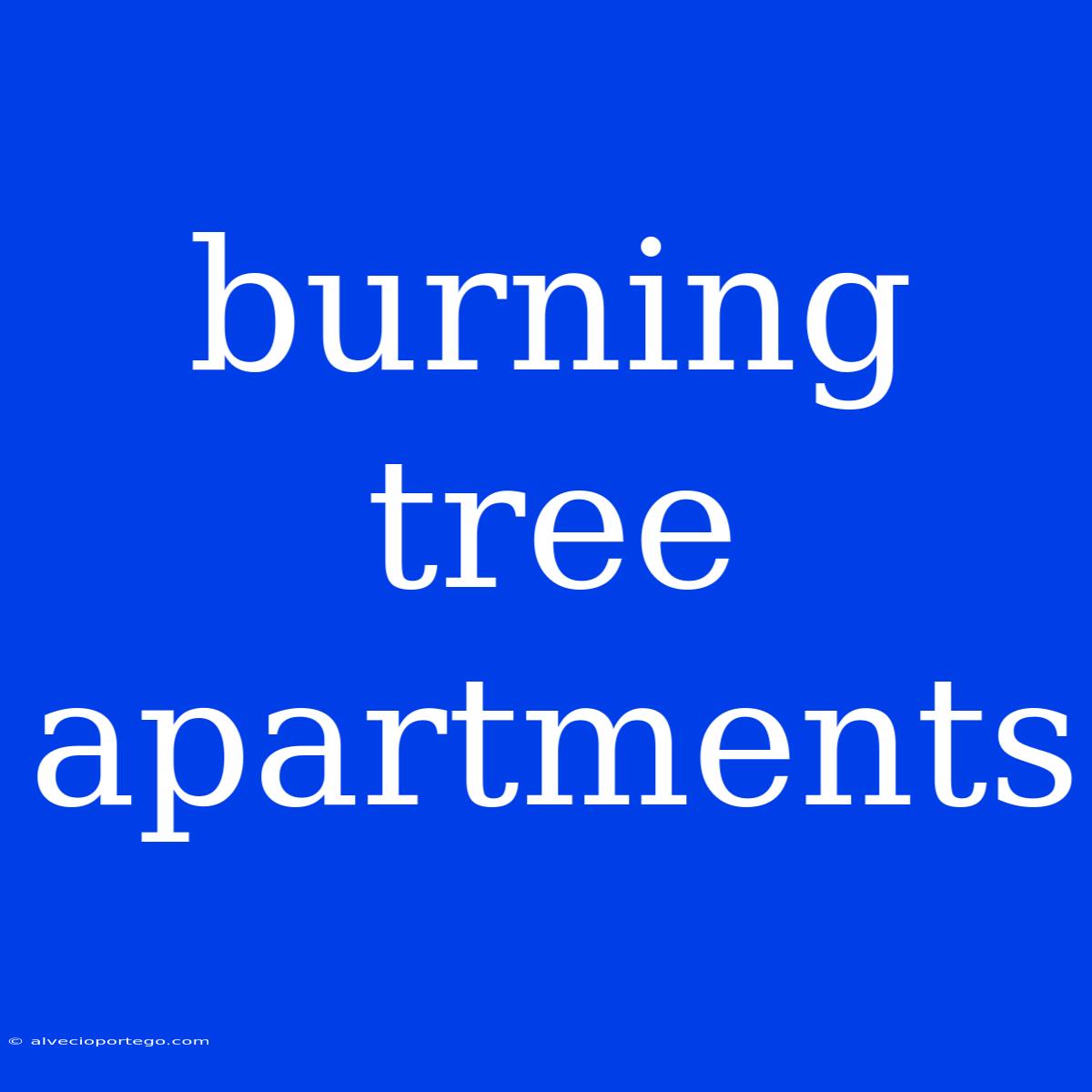 Burning Tree Apartments