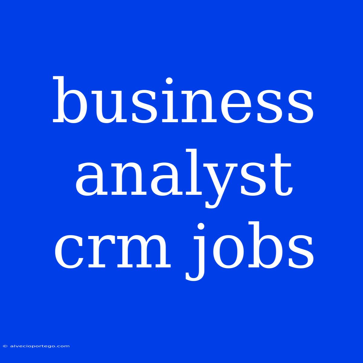 Business Analyst Crm Jobs