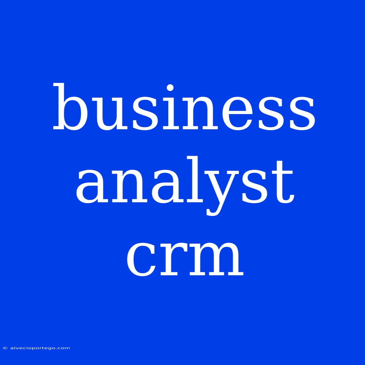 Business Analyst Crm