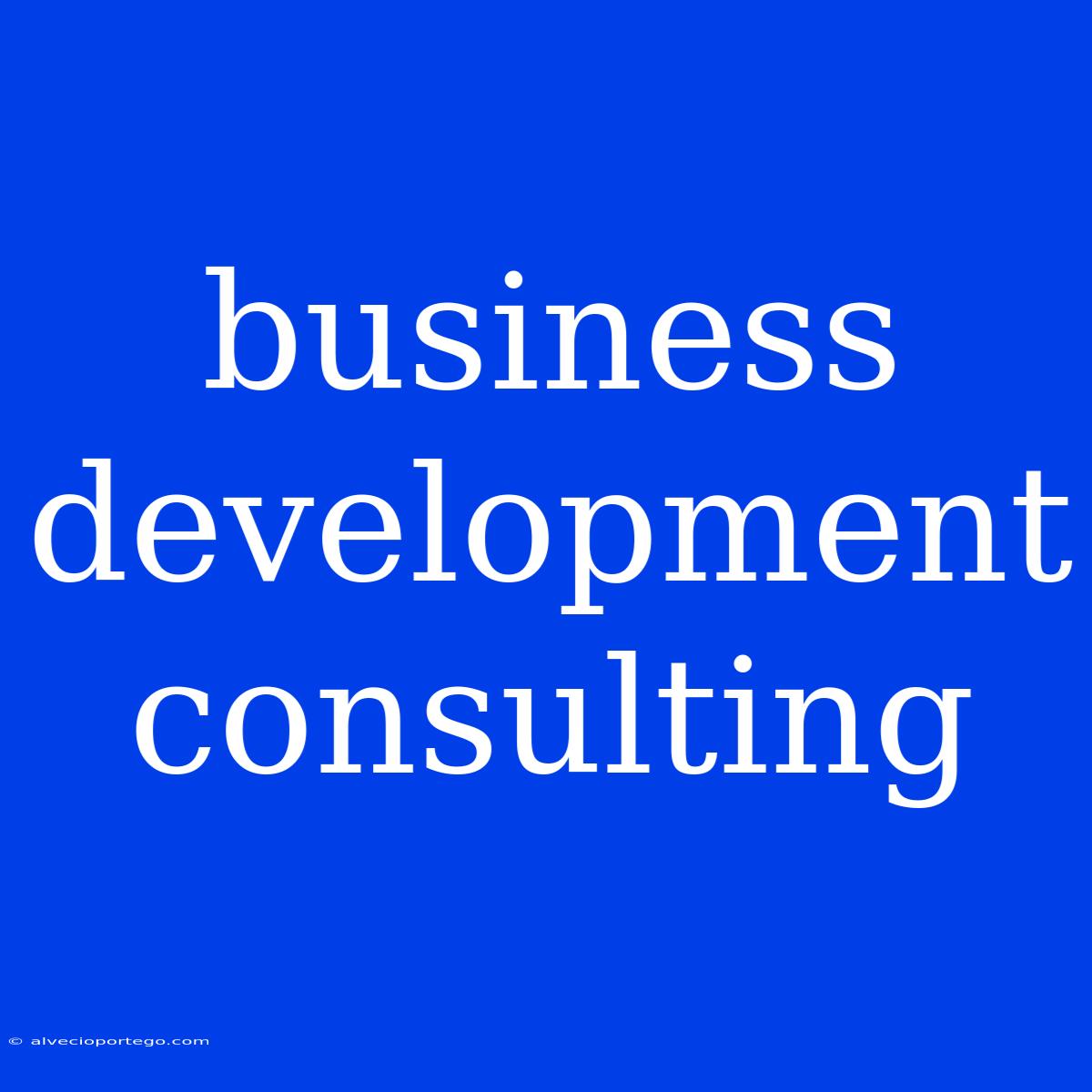 Business Development Consulting