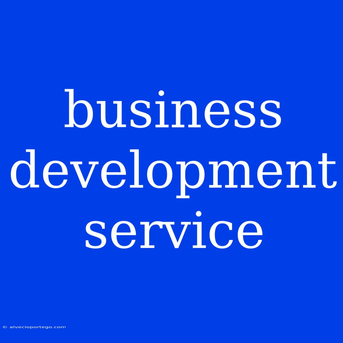 Business Development Service