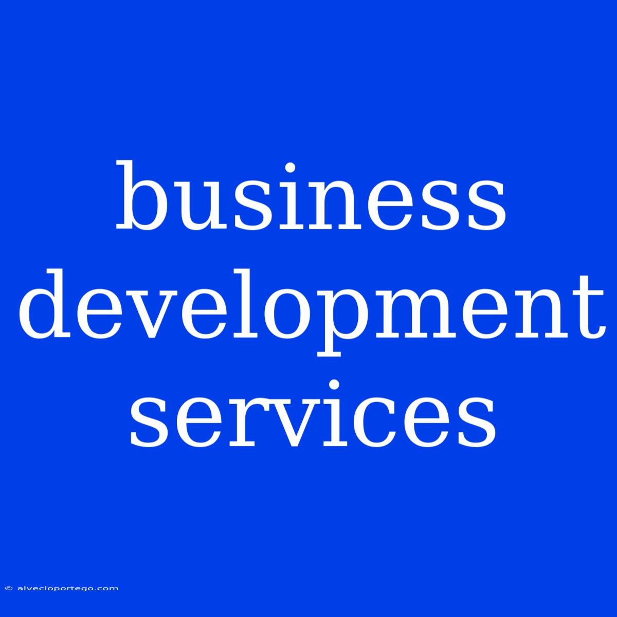 Business Development Services