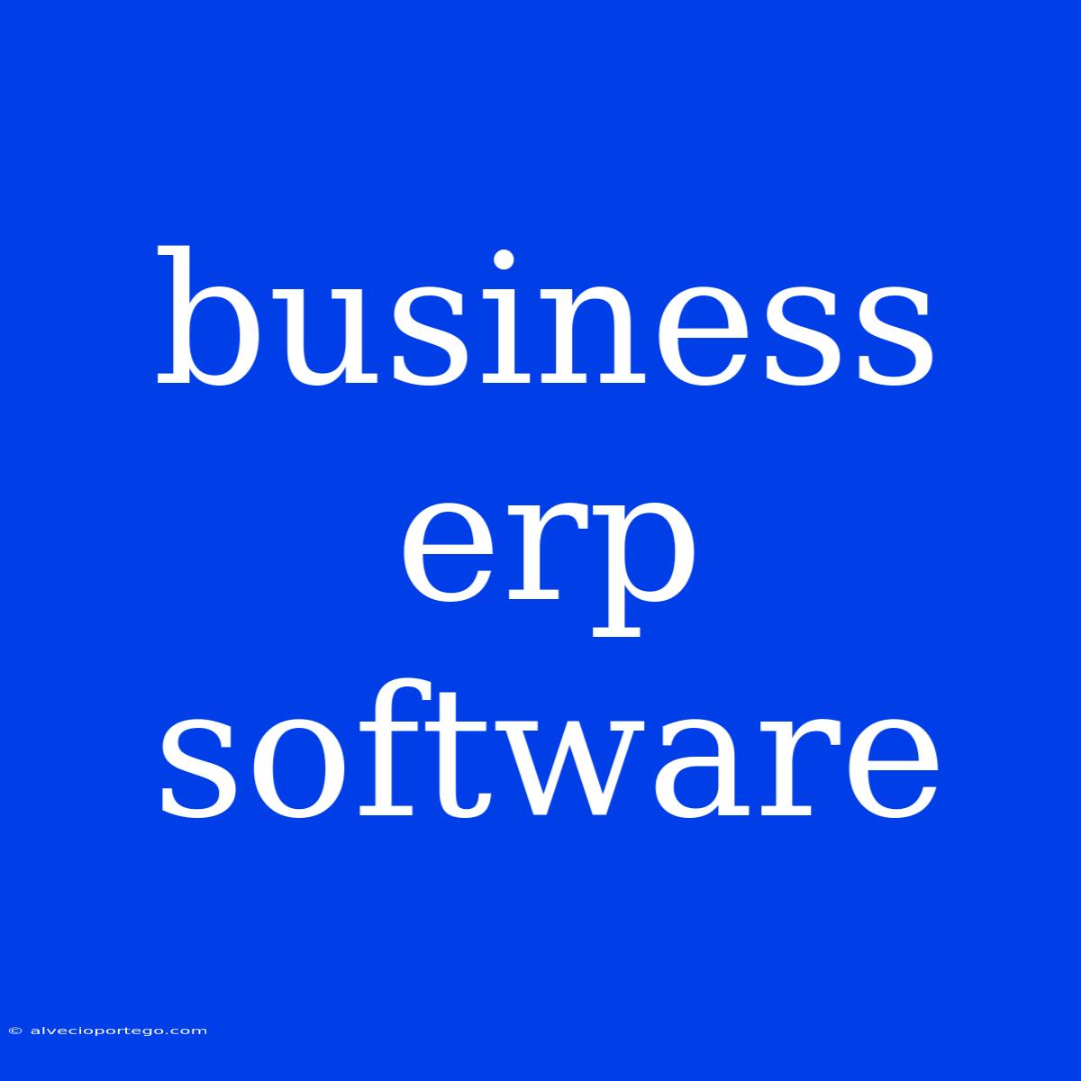 Business Erp Software