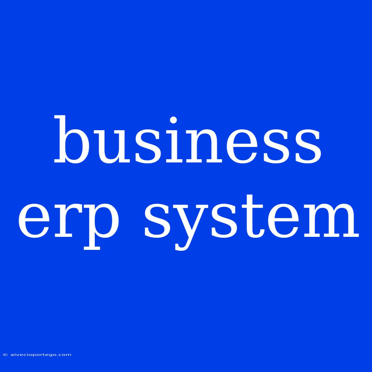 Business Erp System