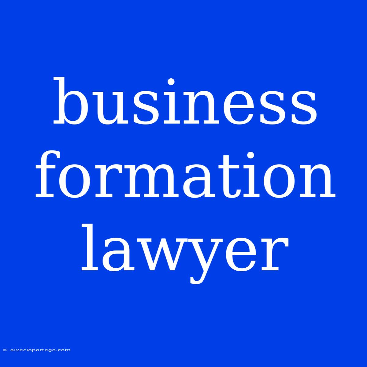 Business Formation Lawyer