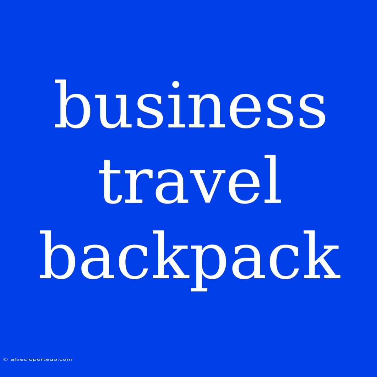 Business Travel Backpack