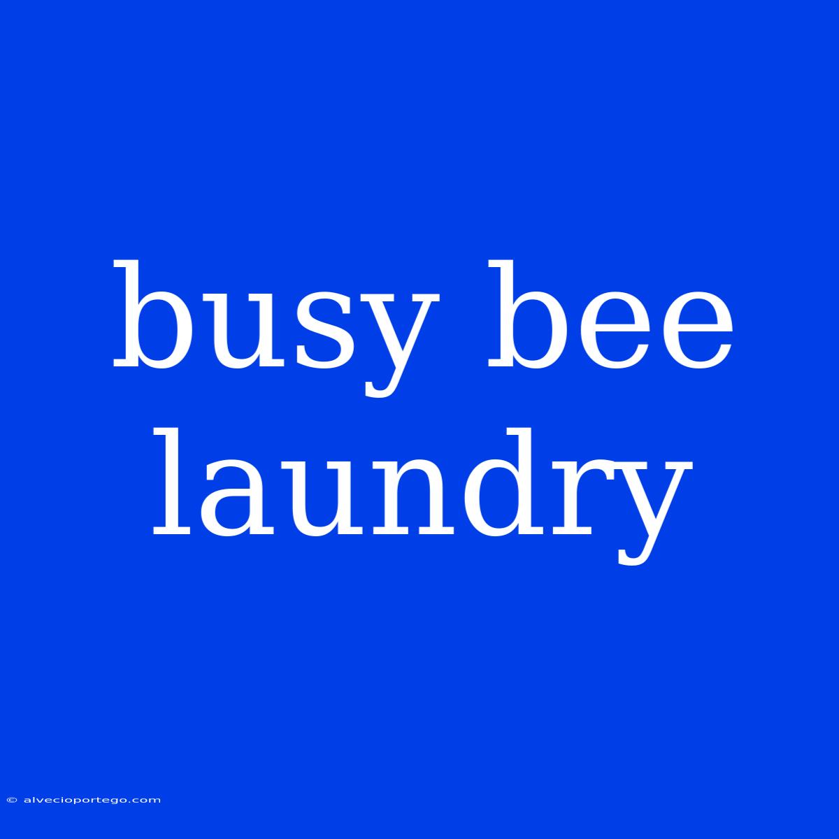 Busy Bee Laundry