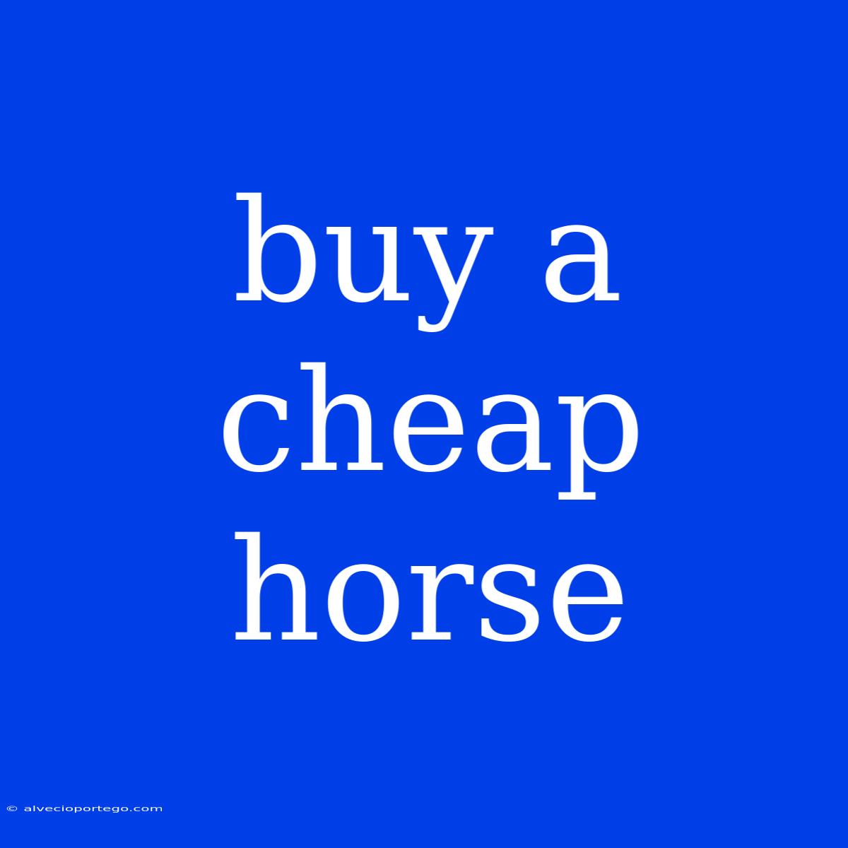 Buy A Cheap Horse