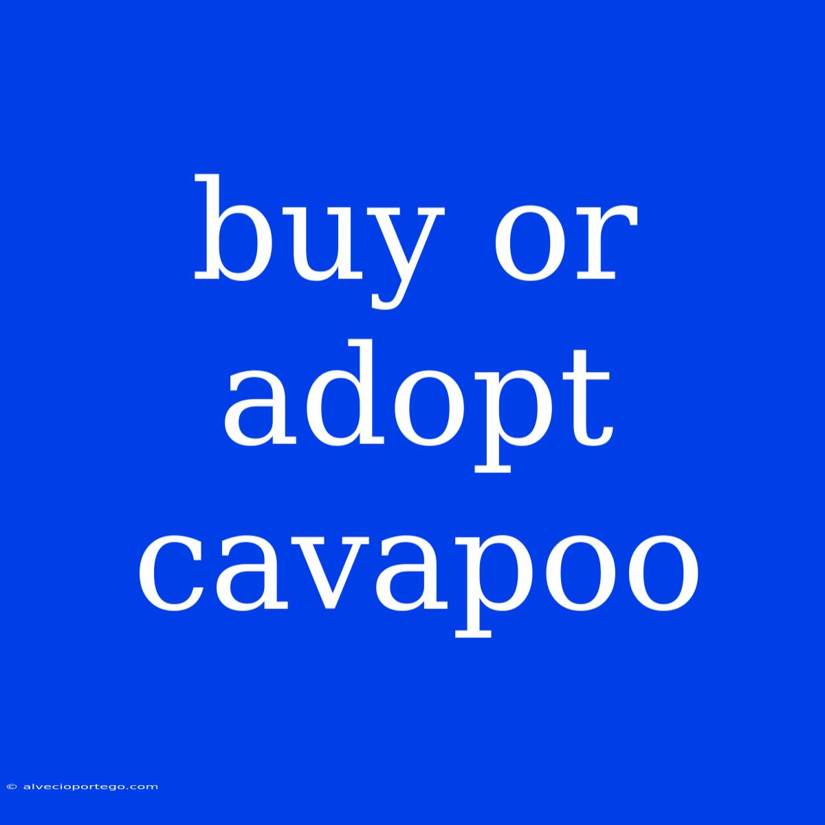 Buy Or Adopt Cavapoo