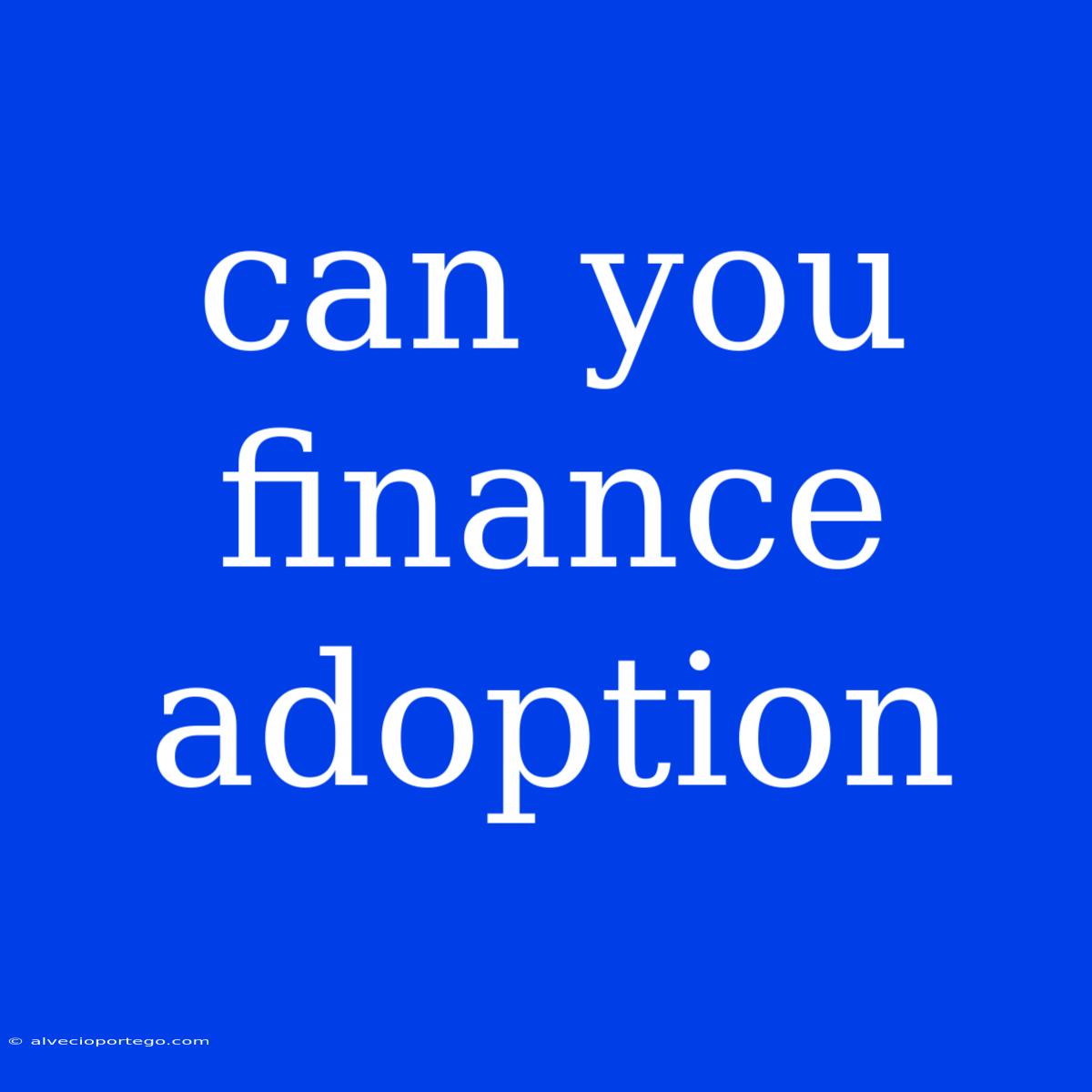 Can You Finance Adoption