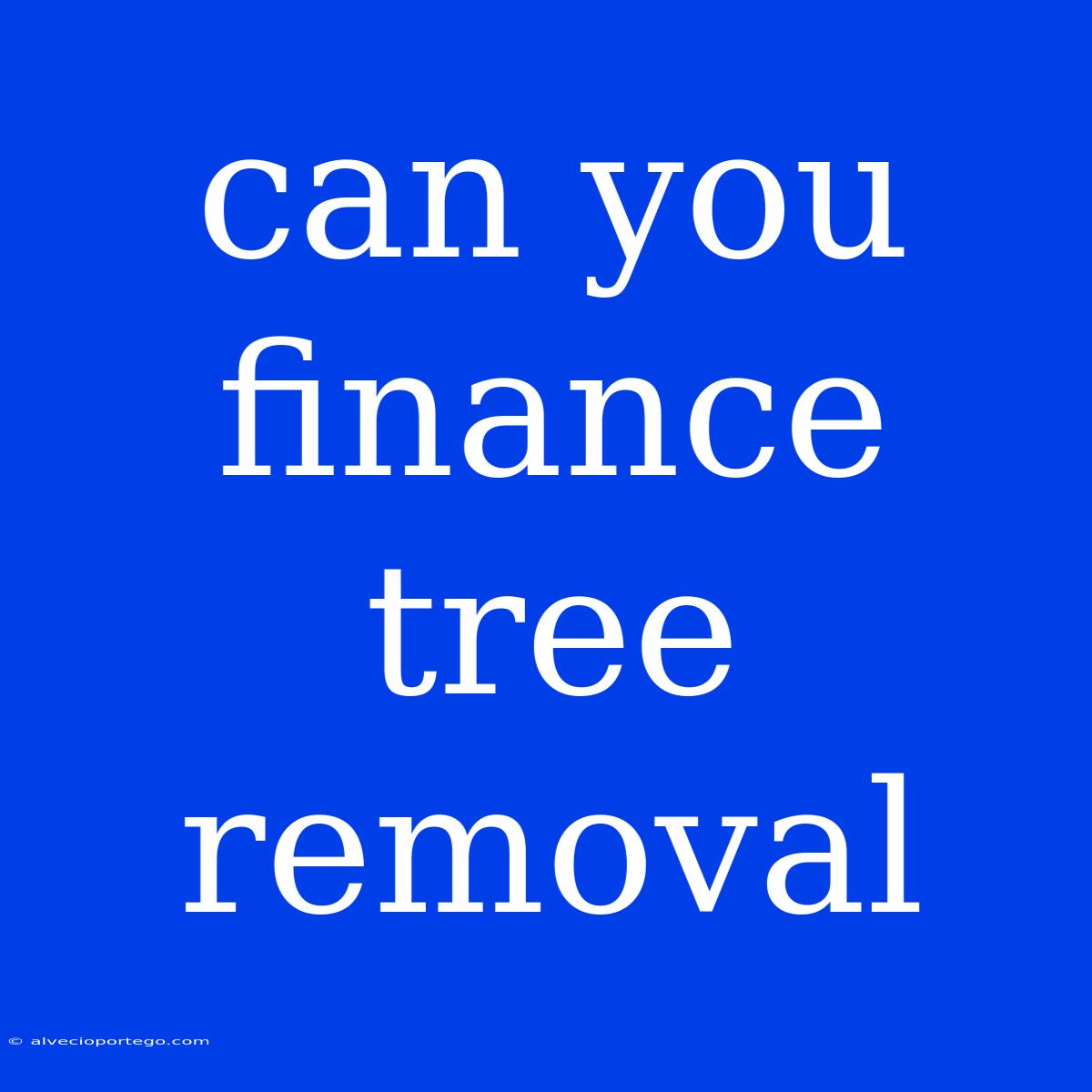 Can You Finance Tree Removal