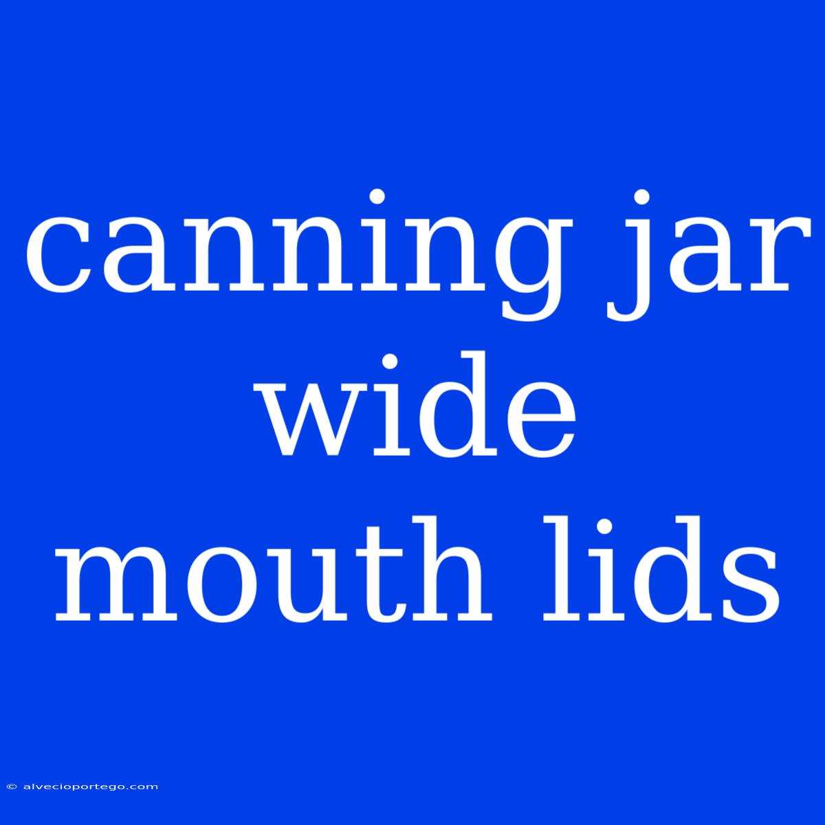 Canning Jar Wide Mouth Lids