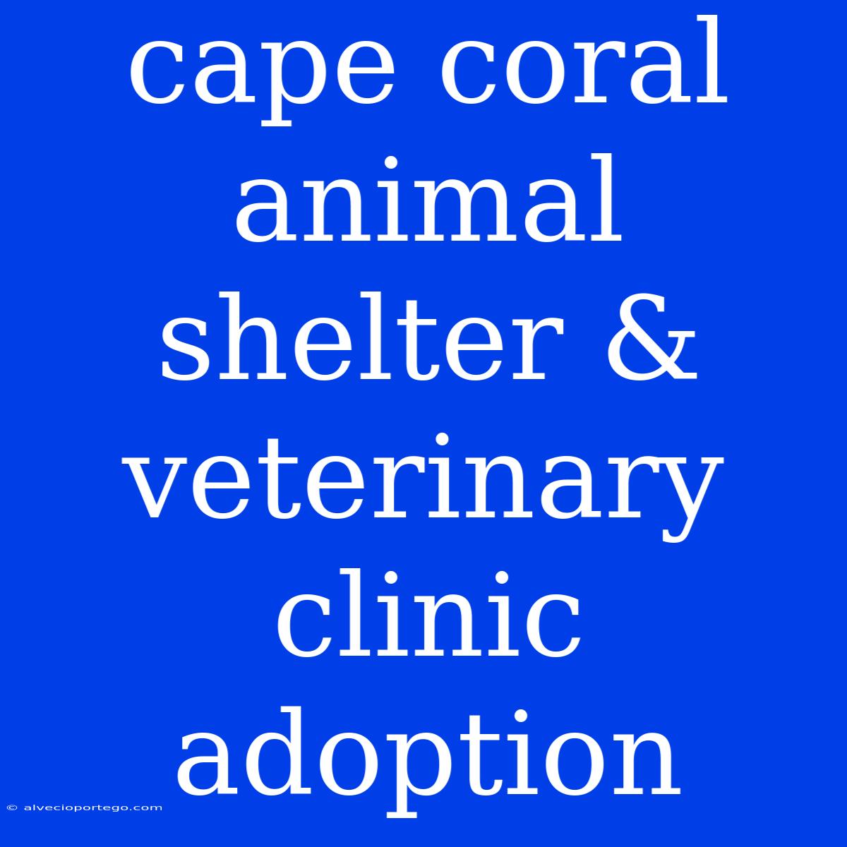 Cape Coral Animal Shelter & Veterinary Clinic Adoption