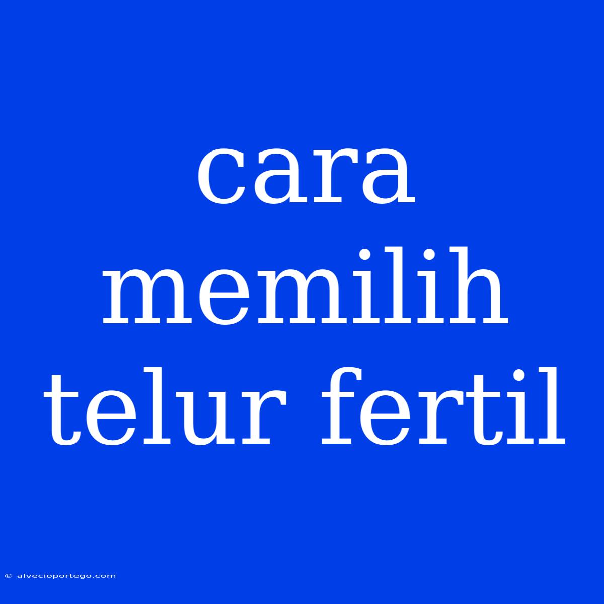 Cara Memilih Telur Fertil