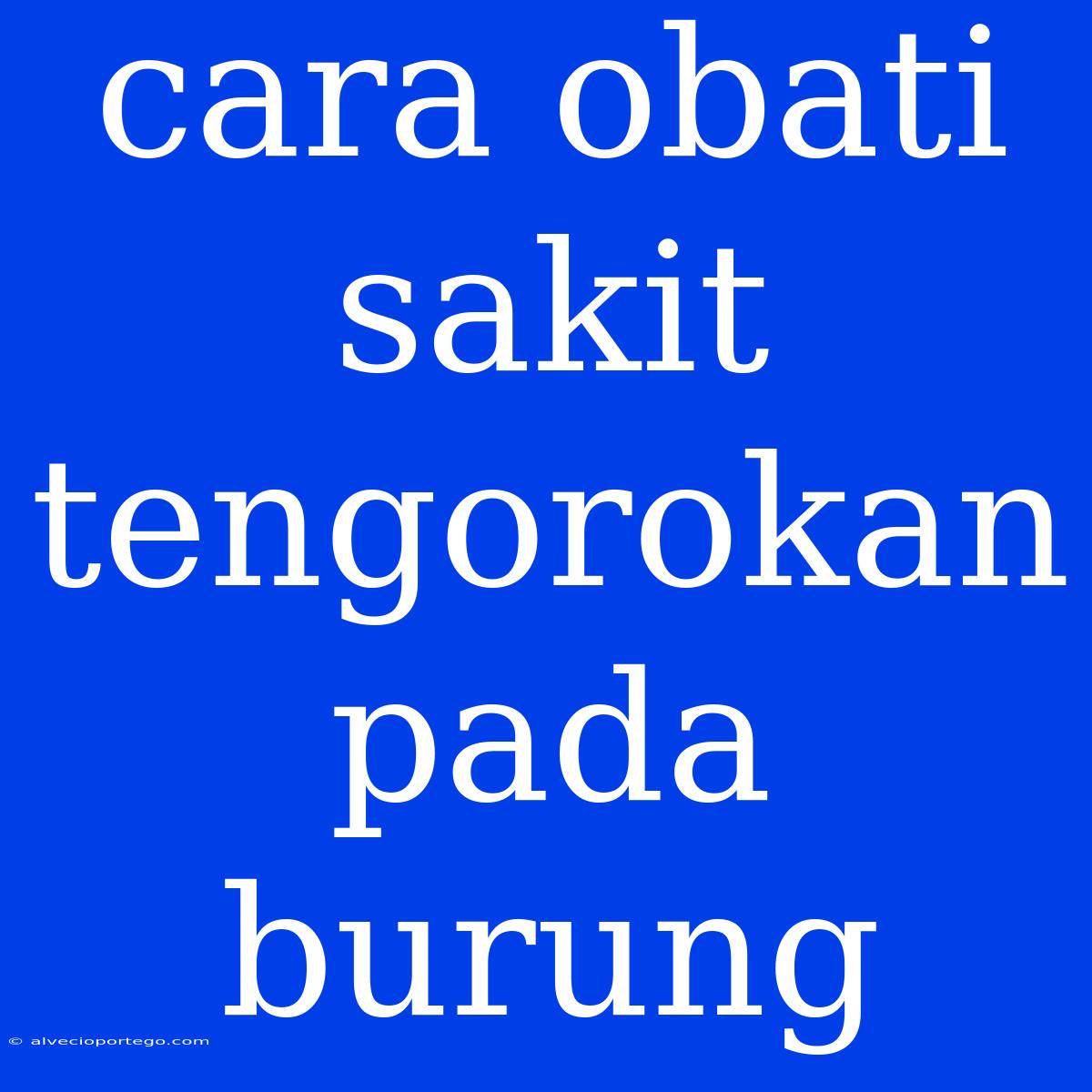 Cara Obati Sakit Tengorokan Pada Burung