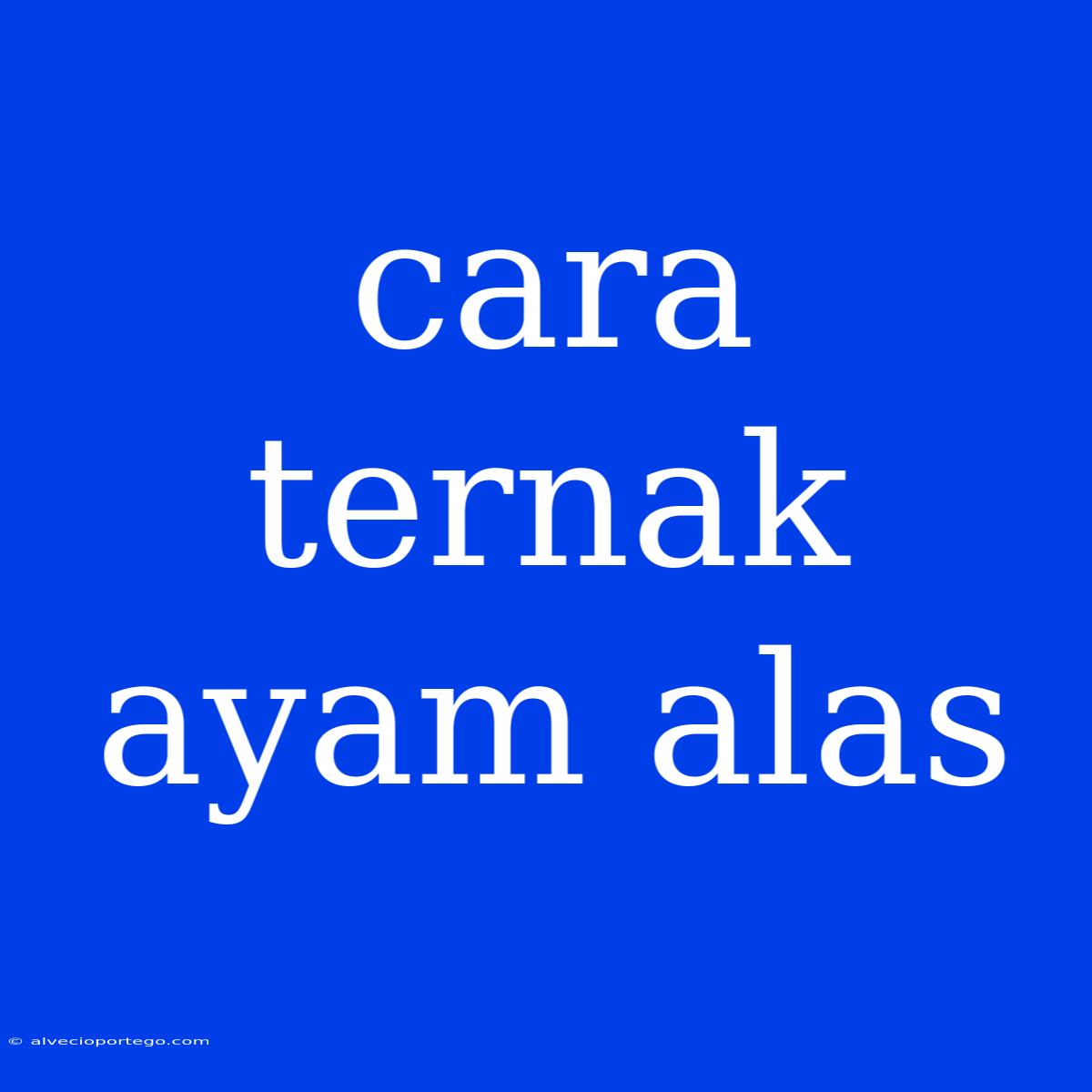 Cara Ternak Ayam Alas