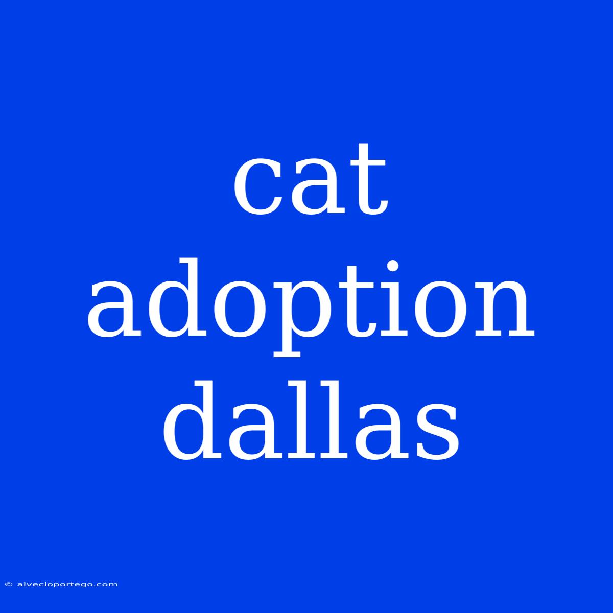 Cat Adoption Dallas