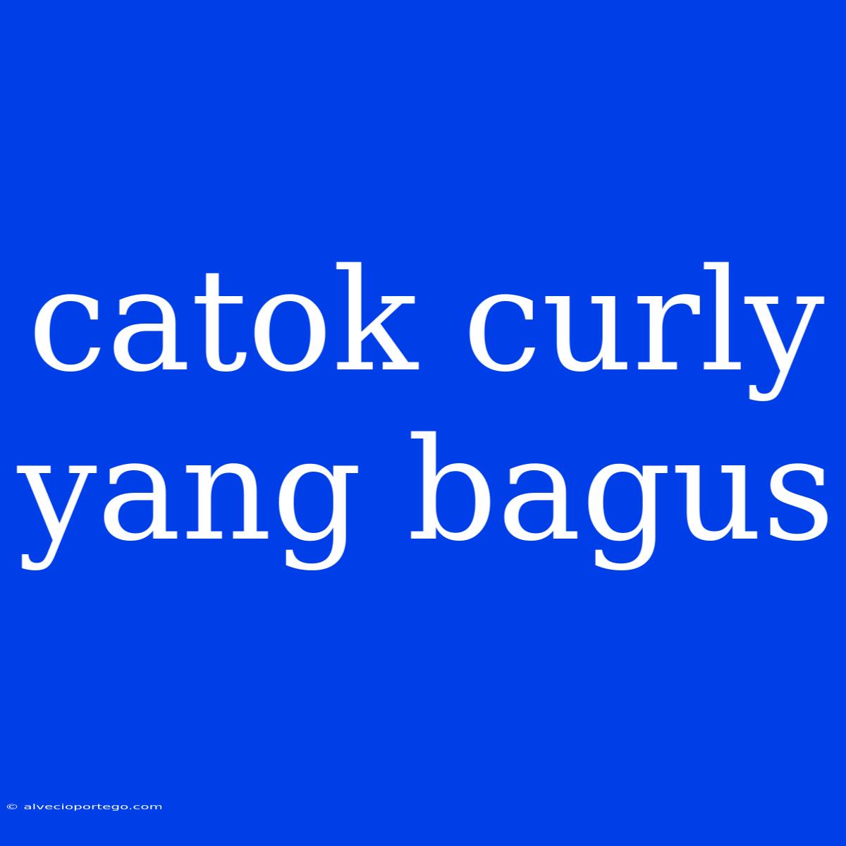 Catok Curly Yang Bagus