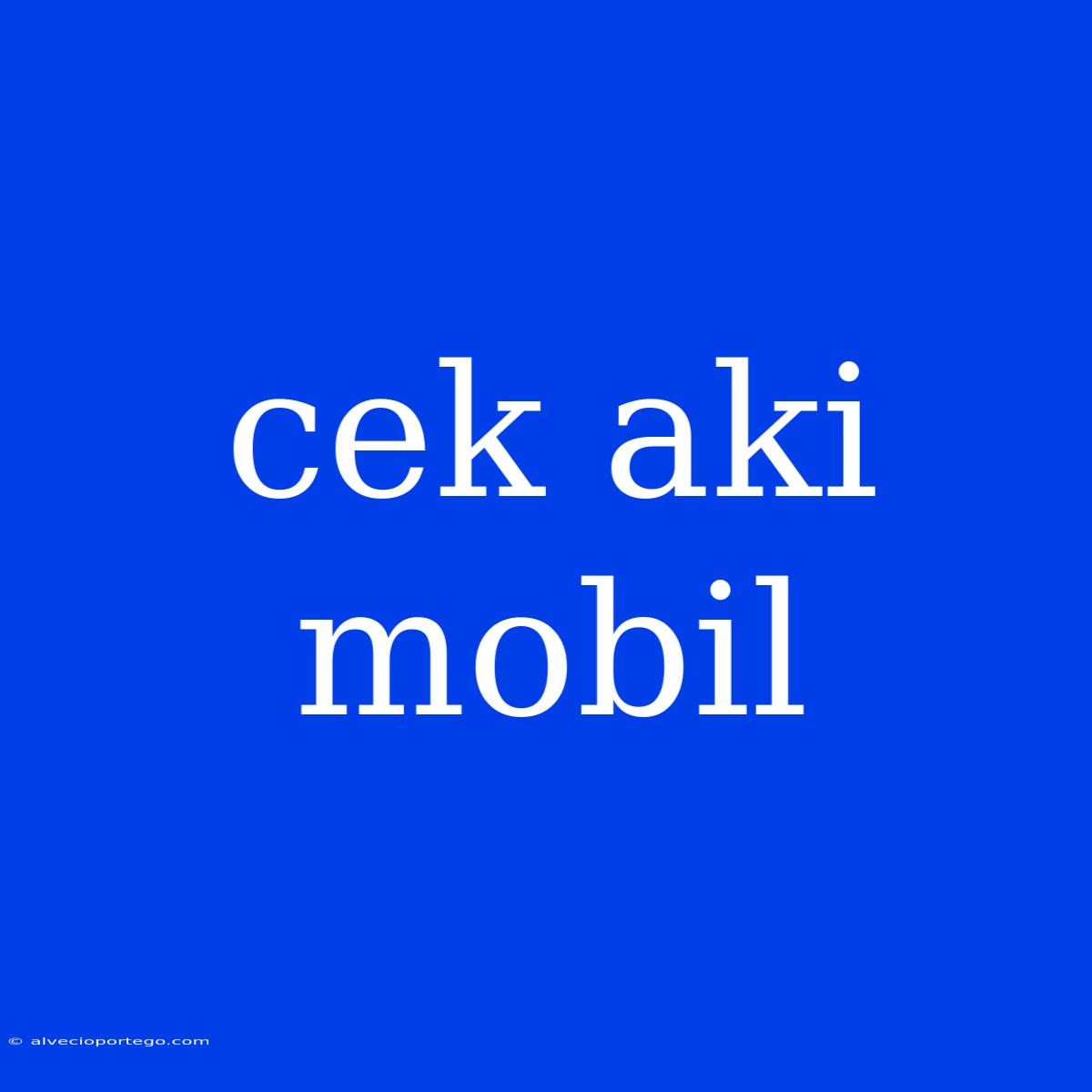 Cek Aki Mobil