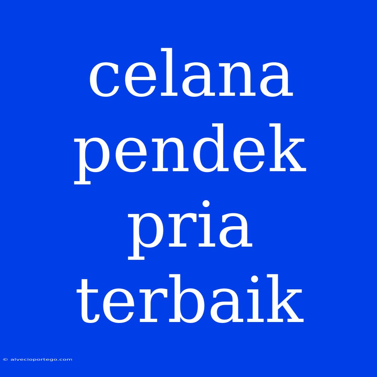 Celana Pendek Pria Terbaik