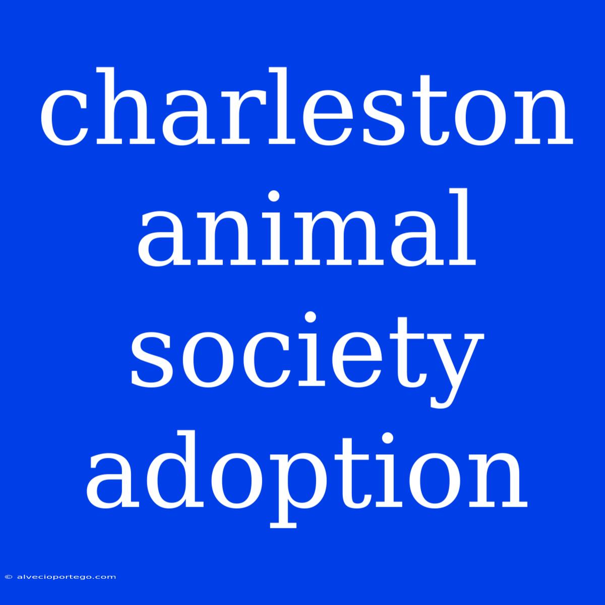 Charleston Animal Society Adoption