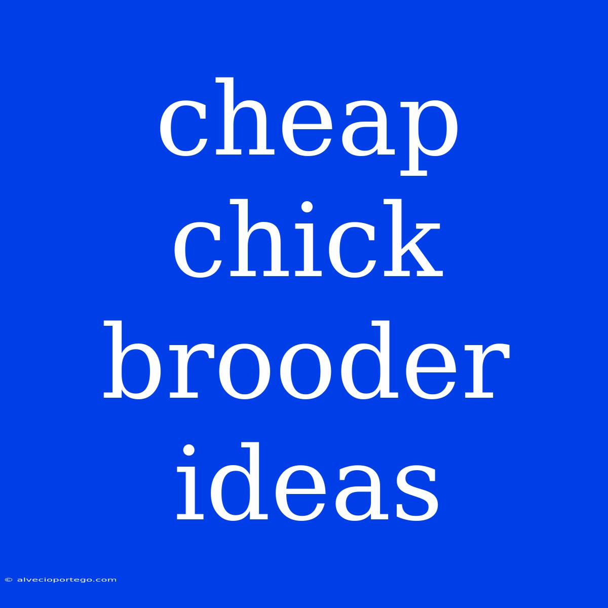 Cheap Chick Brooder Ideas