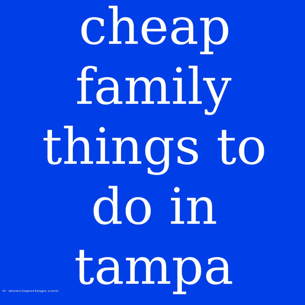 Cheap Family Things To Do In Tampa