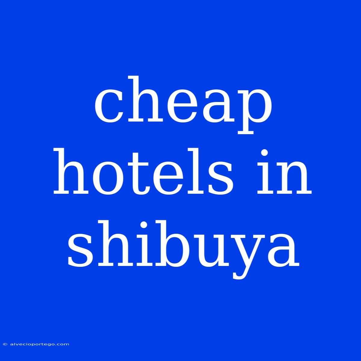 Cheap Hotels In Shibuya